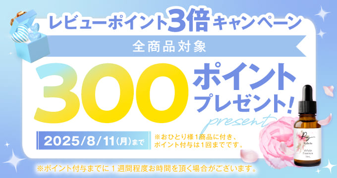 全商品対象レビューポイント3倍キャンペーン