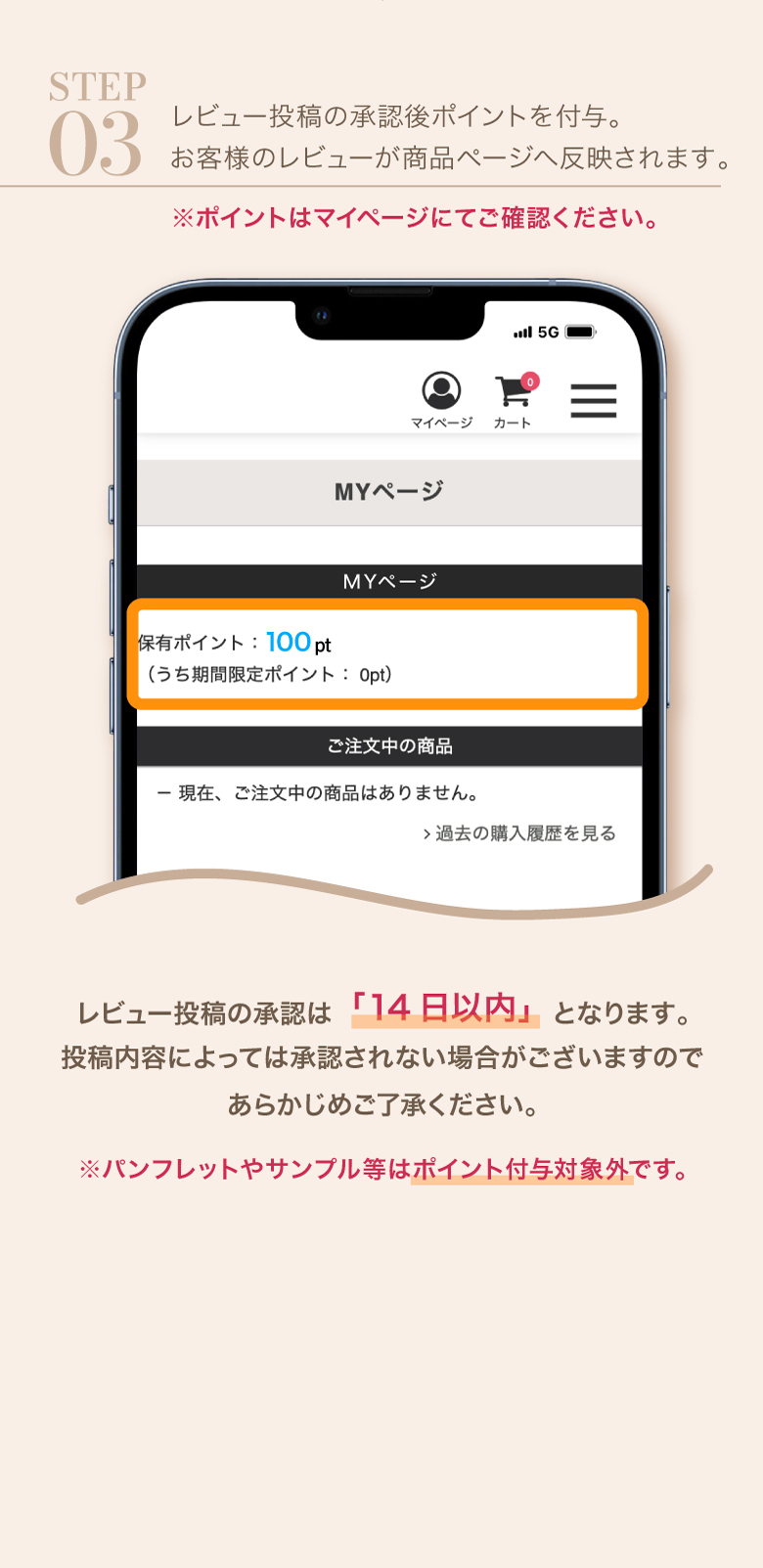 レビュー投稿で100ptプレゼント