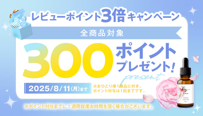 全商品対象レビューポイント3倍キャンペーン