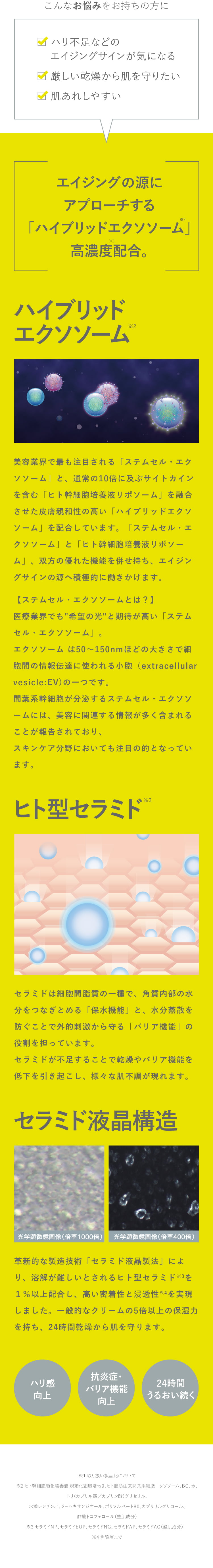 通販】CLIGRAM〈カリグラム〉 PERFECT EV〈パーフェクトイーブイ